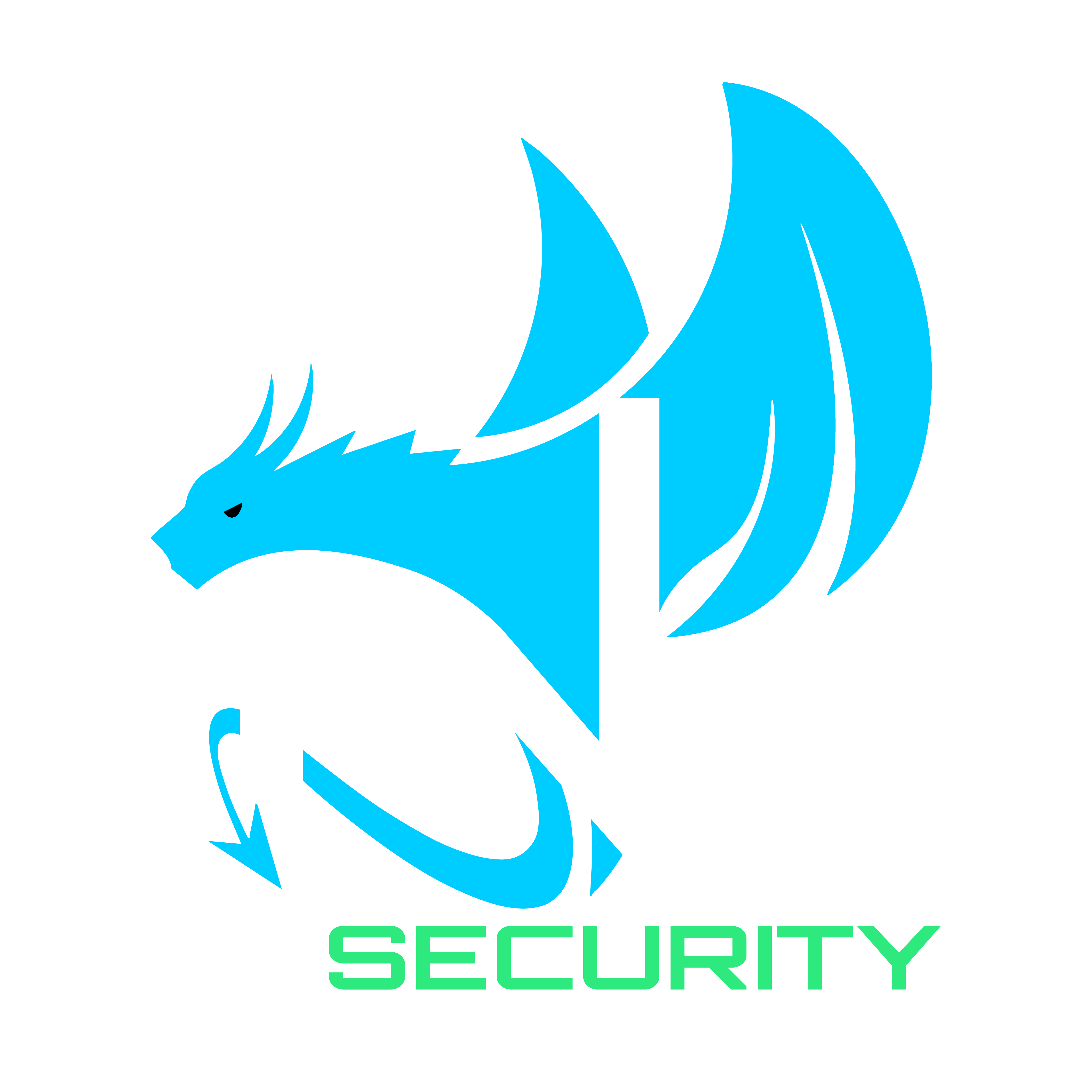 JNsecurity logo